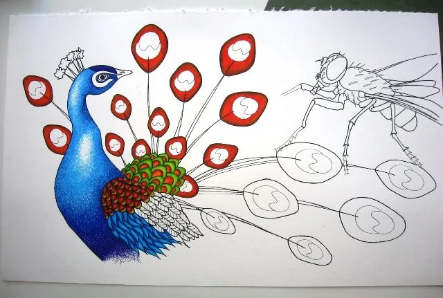 Avance de dibujo | Schaski Zapatera