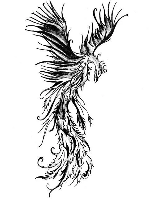 ave fenix - Buscar con Google | Fénix | Pinterest | Tatuajes ...