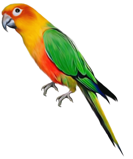 Aves gif con movimiento - Imagui