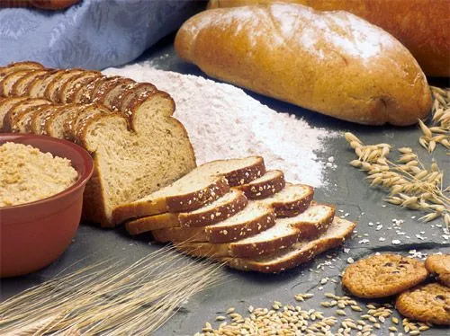 La avena, un cereal muy completo