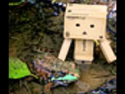 Las aventuras de DANBO (la cajita de cartón) - YouTube