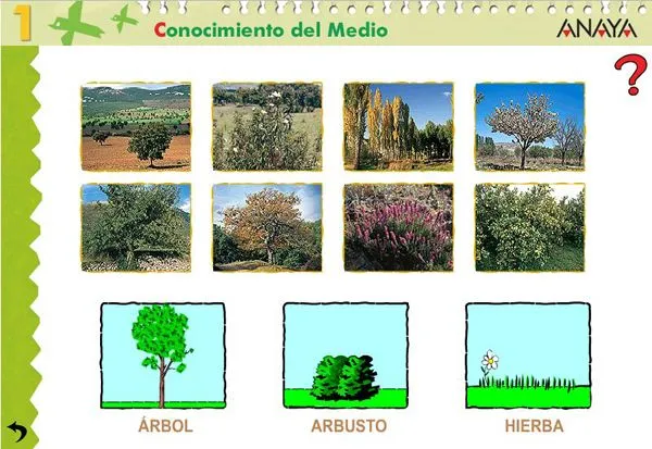 AVENTURAS DE PRIMARIA: AS PLANTAS