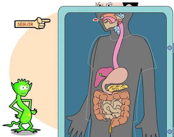 AVENTURAS DE PRIMARIA: EL SISTEMA DIGESTIVO Y RESPIRATORIO. 2º CICLO ...