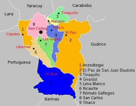 Aves en Cojedes: Introducción
