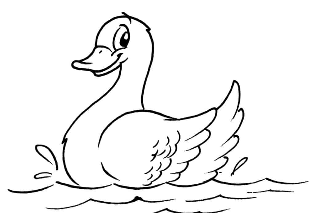 AVES PARA COLOREAR » 5 Mejores imágenes con reseñas AVES PARA COLOREAR » 5 Mejores imágenes con reseñas