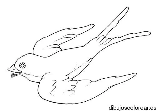 Dibujo de un ave volando | Dibujos para Colorear Dibujo de un ave volando | Dibujos para Colorear