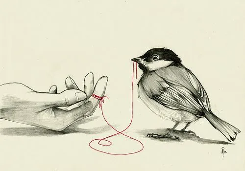 Aves dibujos a lapiz - Imagui