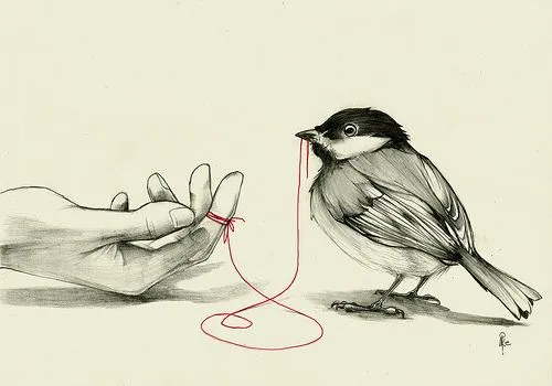Dibujo a lapiz de pajaritos - Imagui