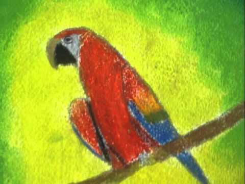 AVES DE GUATE EN CRAYÓN DE MADERA - YouTube AVES DE GUATE EN CRAYÓN DE MADERA - YouTube