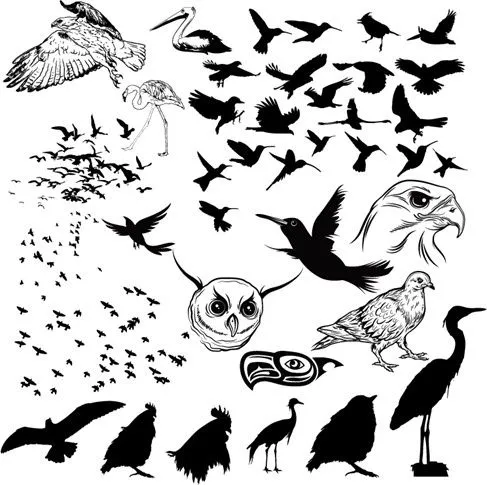 Las aves vector Siluetas Siluetas vectoriales - vectores gratis ...