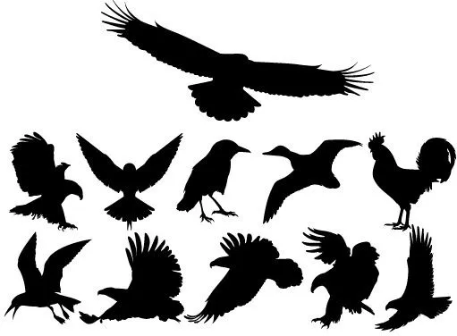 Las aves vector Siluetas Siluetas vectoriales - vectores gratis ... Las aves vector Siluetas Siluetas vectoriales - vectores gratis ...