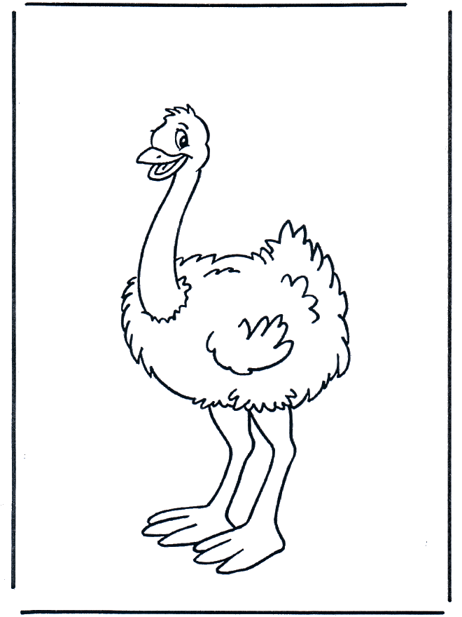 Avestruz Dibujo