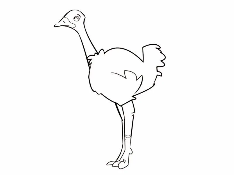 Dibujo de ñandú para colorear - Imagui