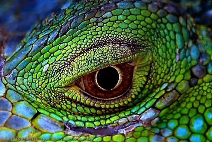Awesome! | Embroidery Ideas & Inspirations | Pinterest | Eye ... Awesome! | Embroidery Ideas & Inspirations | Pinterest | Eye ...