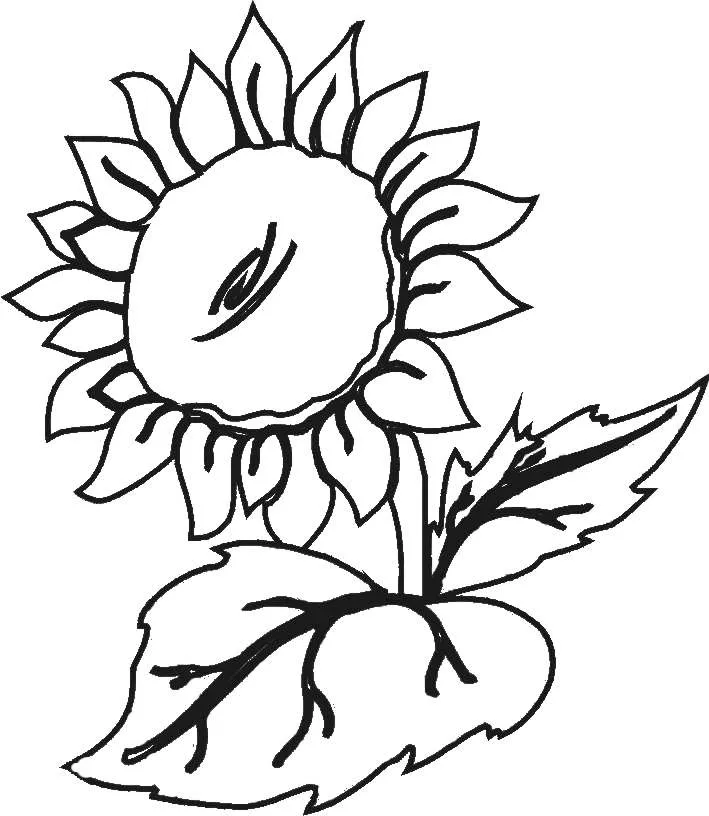 Ayuda, necesit esquemas de flores...