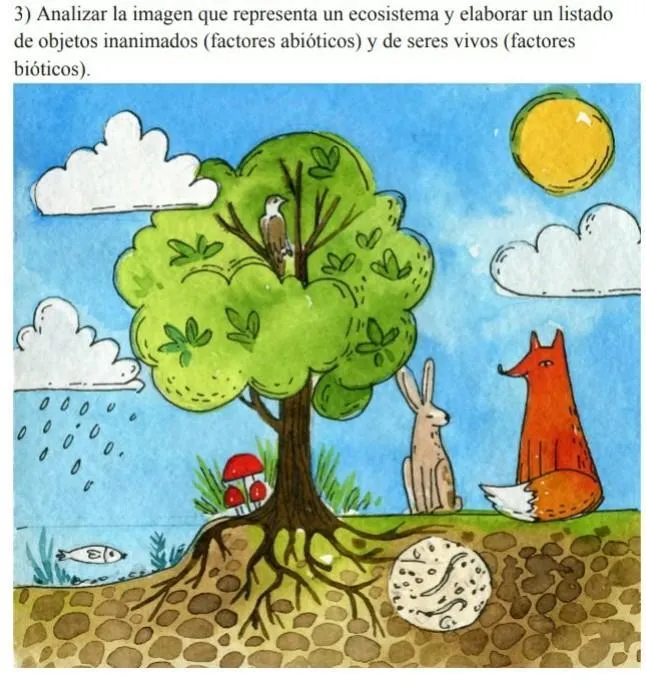 ayudaa!analizar la imagen que representa un ecosistema y y elaborar un listado de objetos inanimados - Brainly.lat ayudaa!analizar la imagen que representa un ecosistema y y elaborar un listado de objetos inanimados - Brainly.lat