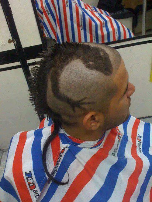 AYUDAS PARA ESTUDIAR,TAREAS TRABAJOS: FOTOS DE CORTE DE CABELLO LAGARTO IGUANA PELO EN LA CABEZA AYUDAS PARA ESTUDIAR,TAREAS TRABAJOS: FOTOS DE CORTE DE CABELLO LAGARTO IGUANA PELO EN LA CABEZA