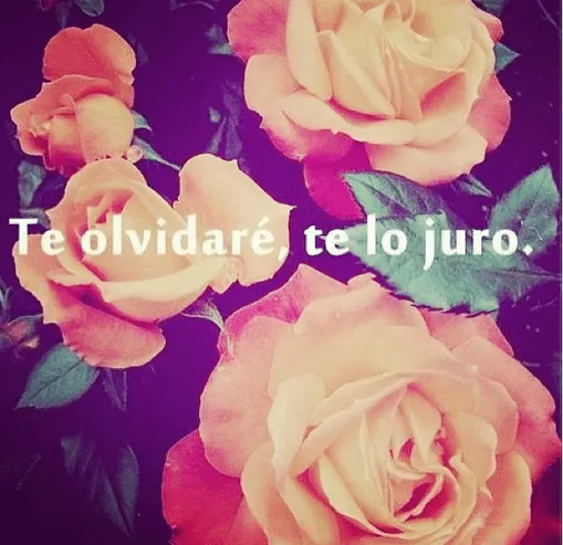 Me ayudas a pintar transparente el dolor ♥: Te olvidaré , te lo ... Me ayudas a pintar transparente el dolor ♥: Te olvidaré , te lo ...