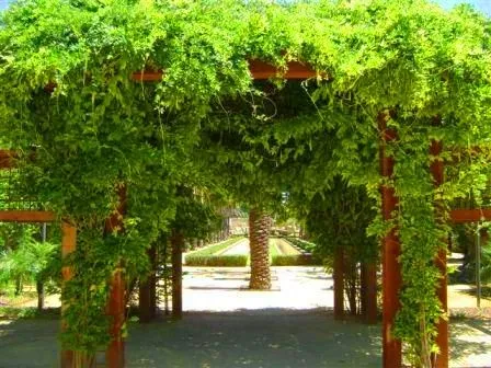 Ayuntamiento de Jerez - Página oficial: Entrada y Jardín Principal:
