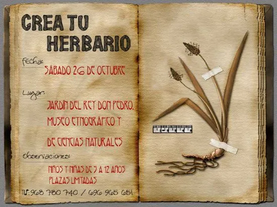 Ayuntamiento de Jumilla -La construcción de un herbario, próxima ... Ayuntamiento de Jumilla -La construcción de un herbario, próxima ...
