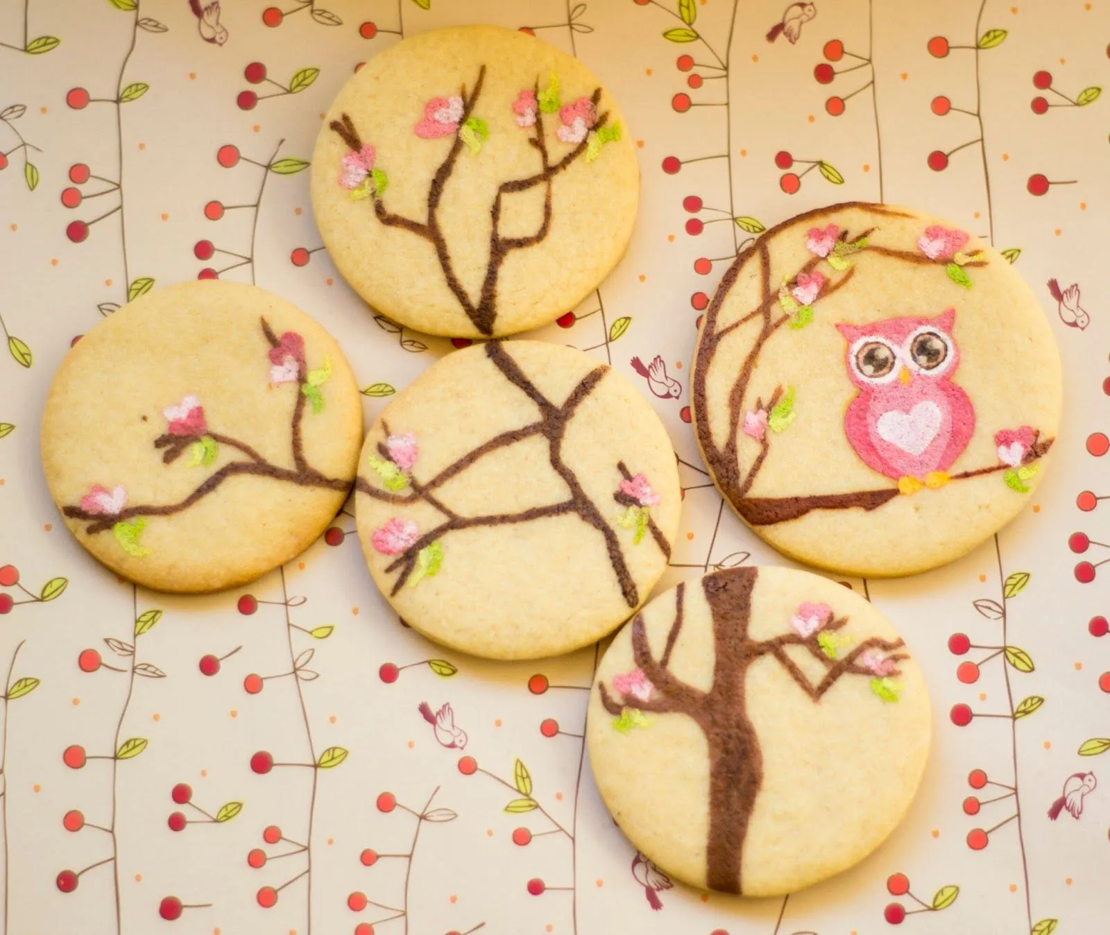 Azúcar galletas y muchas cosas bonitas: Buhos, la experiencia de ... Azúcar galletas y muchas cosas bonitas: Buhos, la experiencia de ...