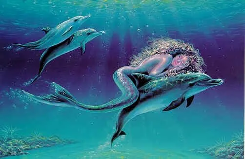 Delfines bonitos - Imagui