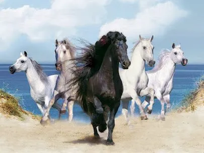 ஜ۩۞۩ஜ Azulestrellla ஜ۩۞۩ஜ: ▬Caballos▬▬ஜ۩۞۩ஜ ஜ۩۞۩ஜ Azulestrellla ஜ۩۞۩ஜ: ▬Caballos▬▬ஜ۩۞۩ஜ