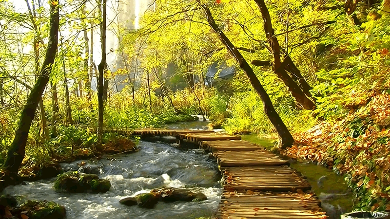 ஜ۩۞۩ஜ Azulestrellla ஜ۩۞۩ஜ: ► Imágenes Gif de paisajes ◄ ஜ۩۞۩ஜ Azulestrellla ஜ۩۞۩ஜ: ► Imágenes Gif de paisajes ◄