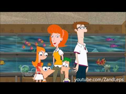 Baby Perry Gets Adopted - Perry the Platypus video - Fanpop
