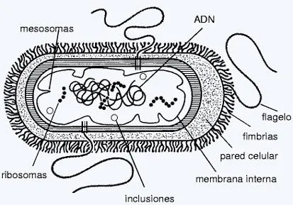 Evolución de la materia y la vida | Blogodisea