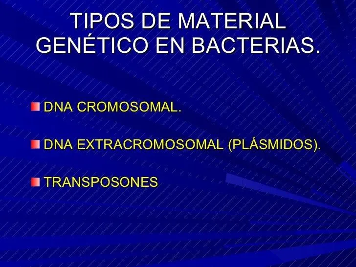 Bacterias