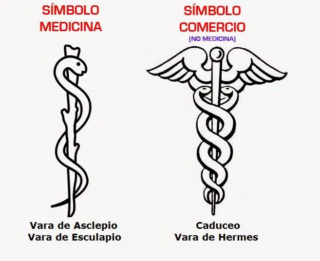 El báculo de Asclepio o Esculapio: el verdadero símbolo de la medicina