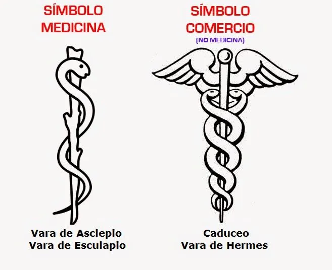 El báculo de Asclepio o Esculapio: el verdadero símbolo de la medicina El báculo de Asclepio o Esculapio: el verdadero símbolo de la medicina