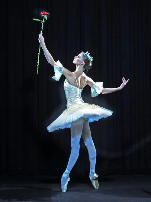 BAILARINAS: O segrado das bailarinas