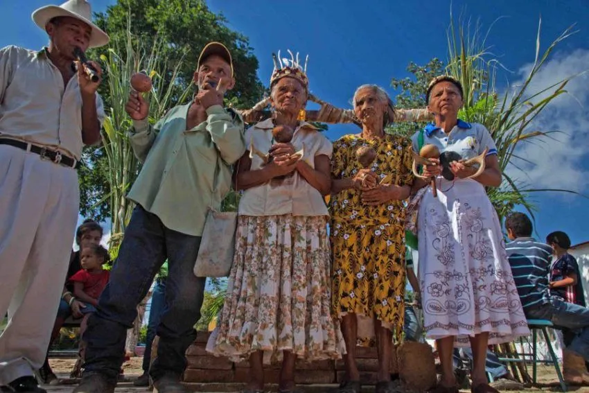 Baile de las turas, danza ancestral por las cosechas - IAM Venezuela Baile de las turas, danza ancestral por las cosechas - IAM Venezuela