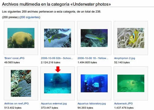 Donde encontrar y bajar imagenes gratuitas