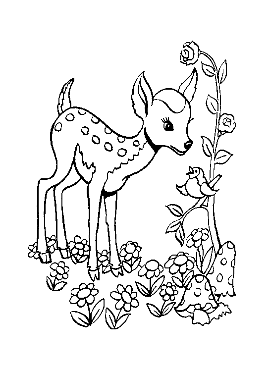 Bambi-para-colorear.gif