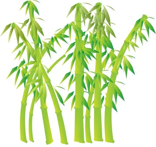 Bambu dibujos para pintar - Imagui