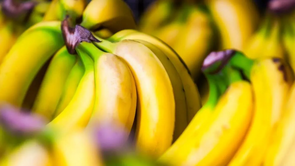 Banana: propiedades, beneficios y valor nutricional del alimento Banana: propiedades, beneficios y valor nutricional del alimento