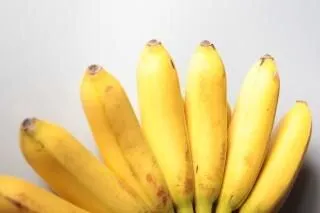 bananos cerca de nutrientes | Descargar Fotos gratis bananos cerca de nutrientes | Descargar Fotos gratis