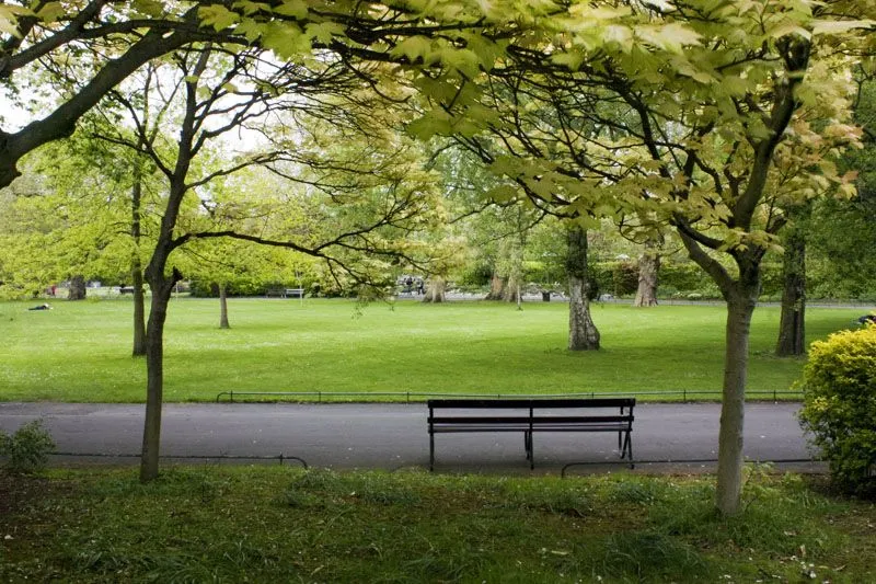 Un banco, árboles y césped en un parque de Dublín, Irlanda