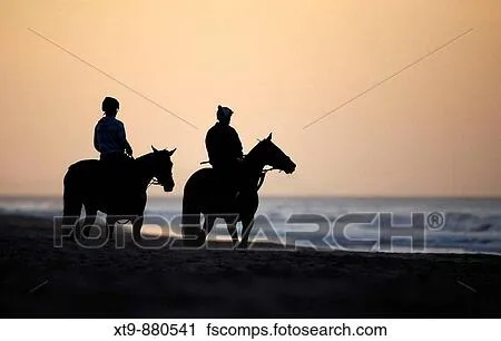 Banco de Fotografías - caballos, y, varón y hembra, pareja, jinete ...