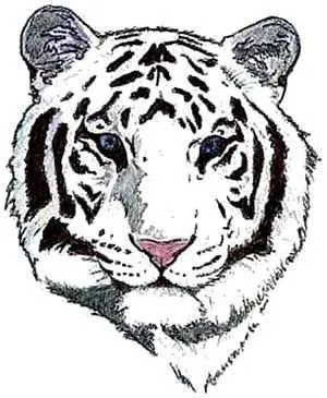 Caricatura de tigre blanco
