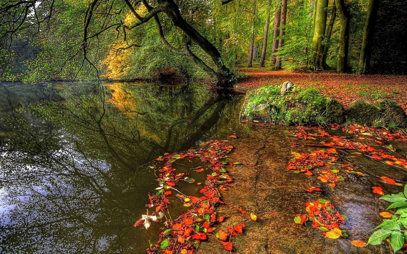 BANCO DE IMÁGENES: 15 imágenes de paisajes para fondos gratis BANCO DE IMÁGENES: 15 imágenes de paisajes para fondos gratis