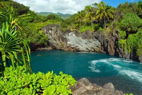 Banco de Imágenes Gratis .COM: Los colores de nuestro planeta I ...