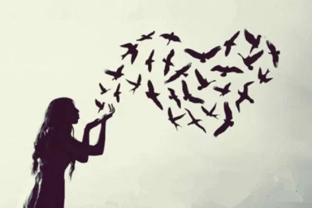 la bandada : mayo 2013