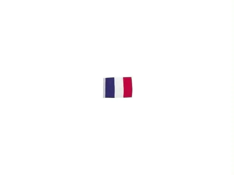 BANDERA DE FRANCIA 60X40CM | Navegación 13660 BANDERA DE FRANCIA 60X40CM | Navegación 13660