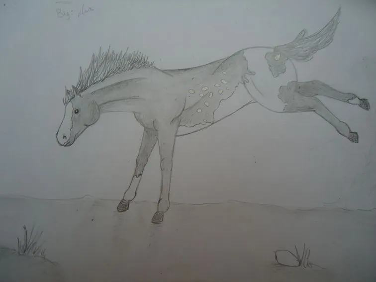 Bannana Pancakes: Como dibujar un caballo.