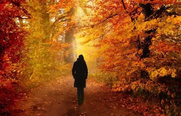 Los baños de bosque alivian las depresiones otoñales | La crónica ... Los baños de bosque alivian las depresiones otoñales | La crónica ...