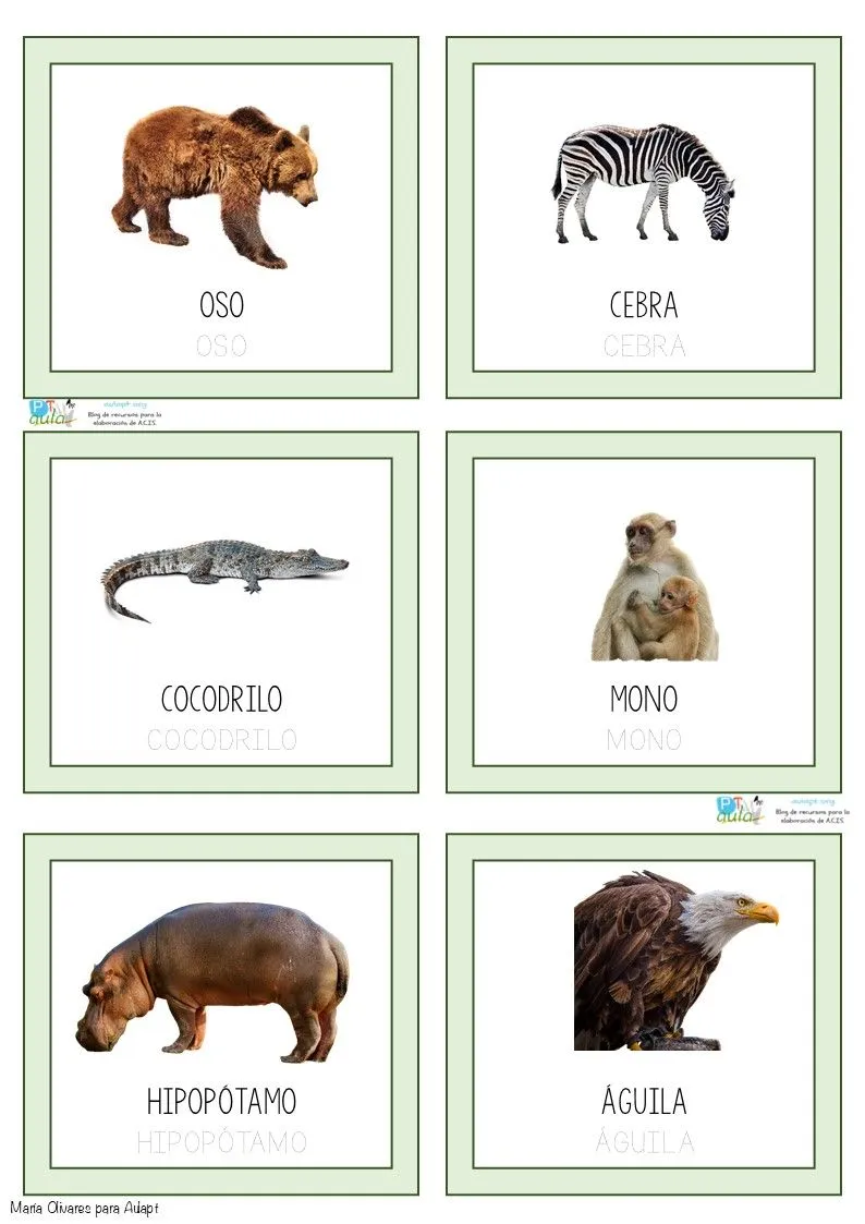 Baraja de vocabulario «Animales salvajes» con fotografías reales - Aula PT